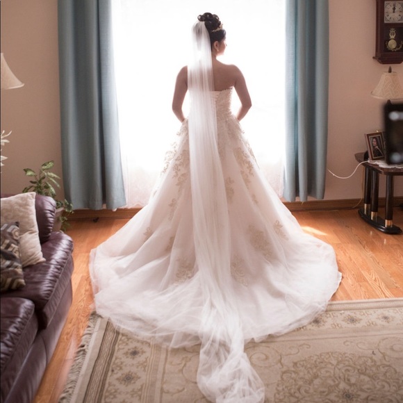 Wedding Dress - Desi | M1716L - Picture 2 of 8